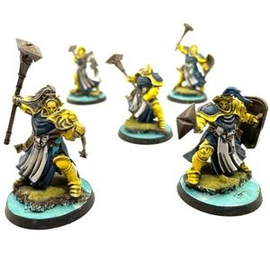 Stormcast Eternals Sequitors 5 Painted Miniatures Warforged